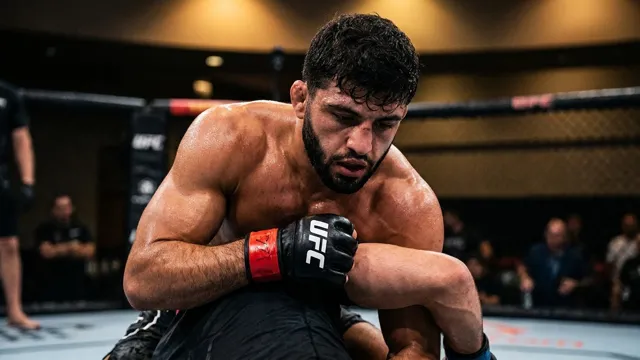 Arman Tsarukyan, UFC