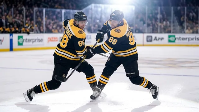 David Pastrnak, Hockey