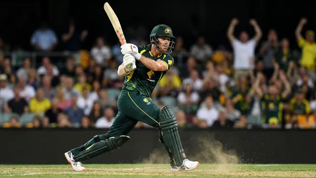 David Warner, Cricket