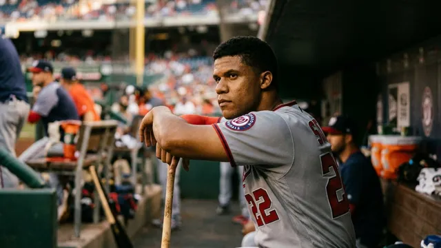 Juan Soto, Baseball