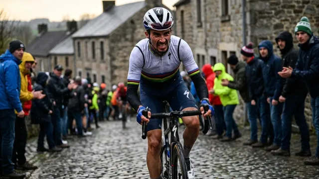 Julian Alaphilippe, Cycling