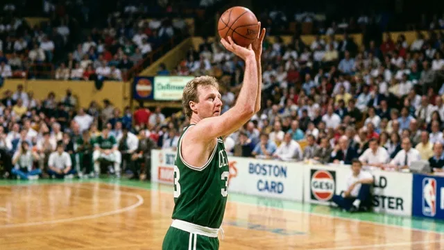 Larry Bird, Basketball