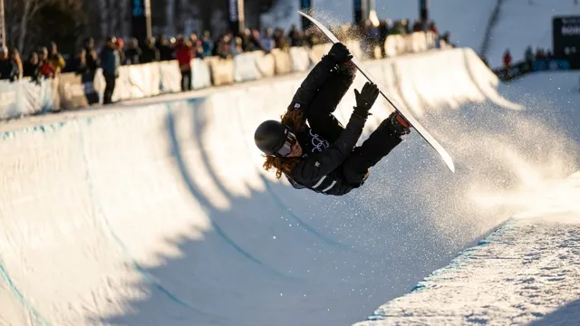 Shaun White, Winter Sports